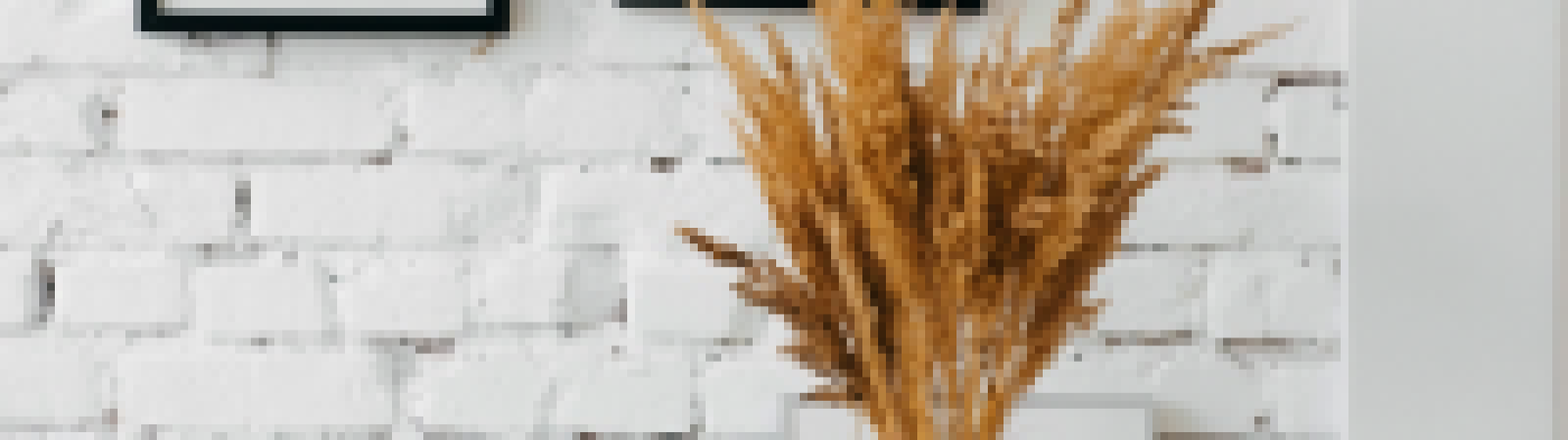 PlantStaging