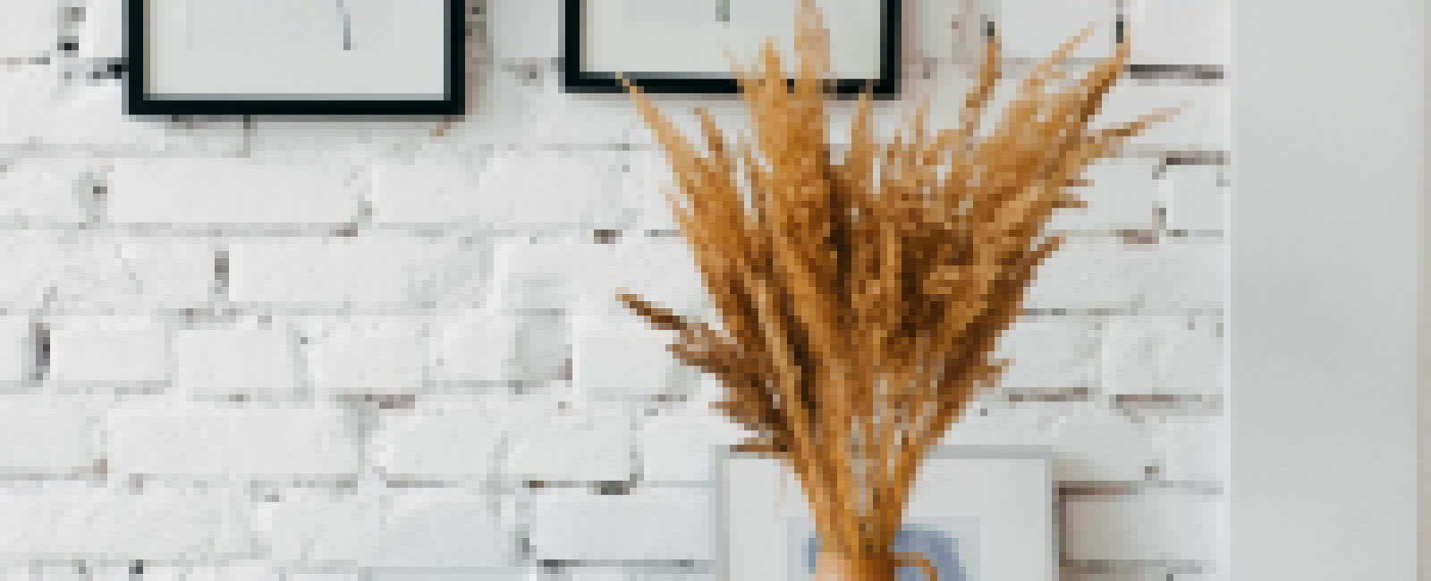 PlantStaging
